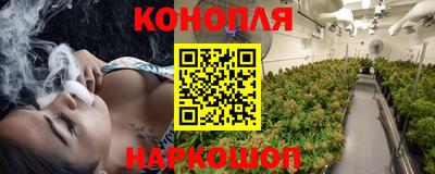 стафф Заволжье
