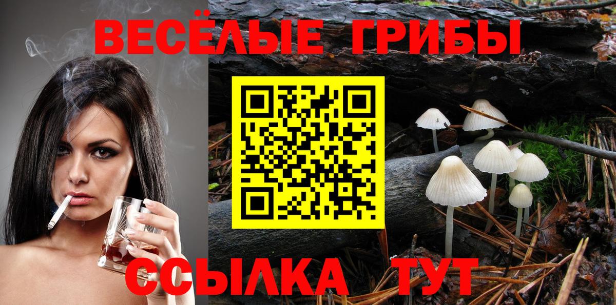 Галлюциногенные грибы Psilocybine cubensis Назарово