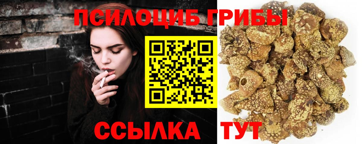 Псилоцибиновые грибы ЛСД  Псилоцибиновые грибы Magic Shrooms  Вход с VPN  Назарово 